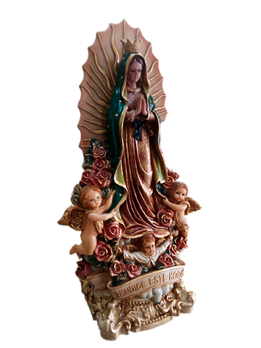 Virgen Guadalupe bendice este hogar