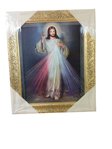 Cuadro Sr. de la Misericordia